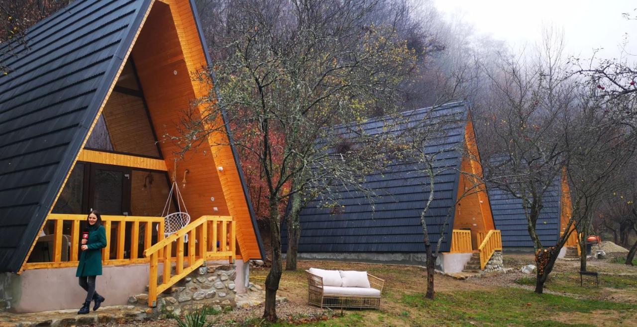 Casa - Cabana Tip A Frame, Cerna, Vaideeni, Valcea Cerna  외부 사진